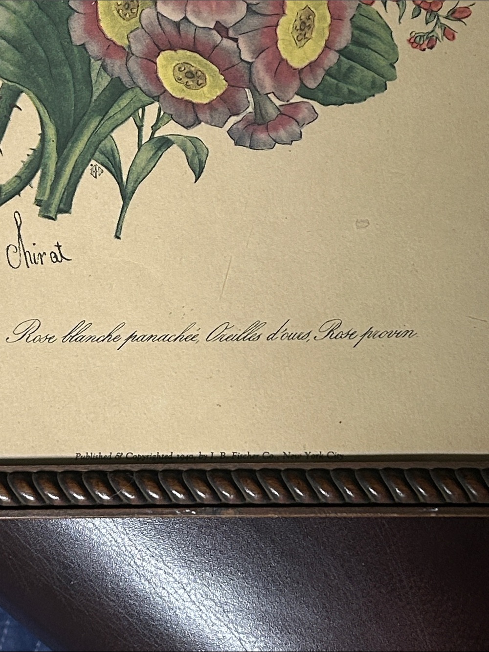 Vintage Floral Botanical Print in Brown Frame - Red, Pink, Green - Picture 5 of 11